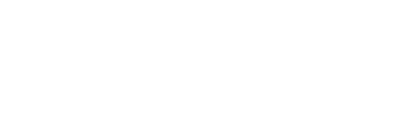 DSE Demo